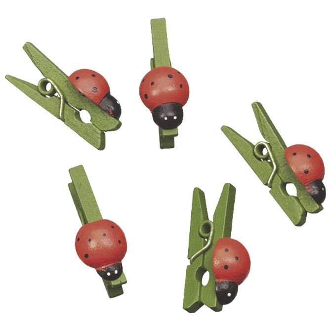 Lesene sponke pikapolonica 2,5cm pk24 knorr prandell 21-8001537 blister