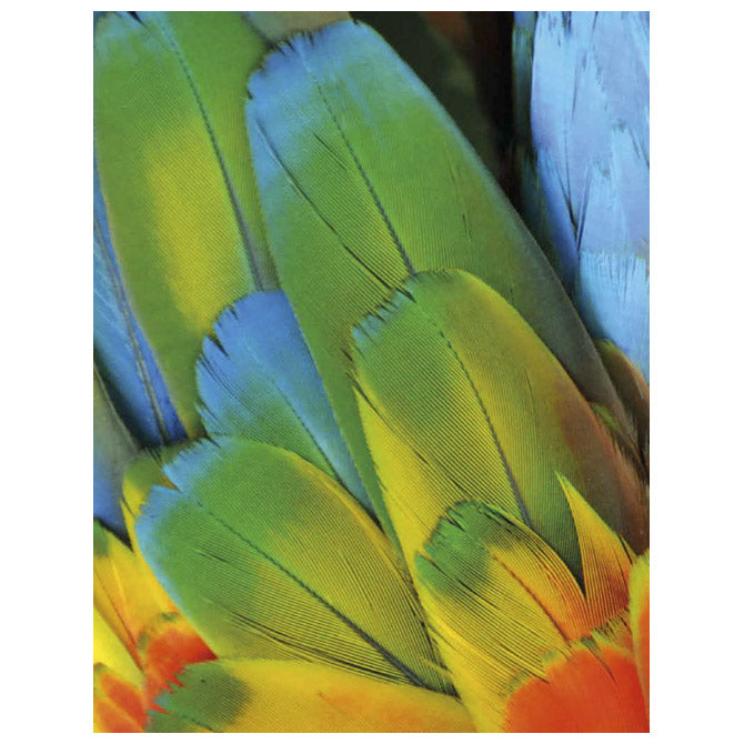 Barva za tkanine - tempera 125ml cmp.410tx125100 bela