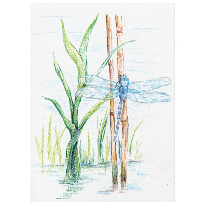 BOJE DRVENE-VODENE  12BOJA METALNA KUTIJA AQUARELL DESIGN JOURNEY STAEDTLER 14610C M12