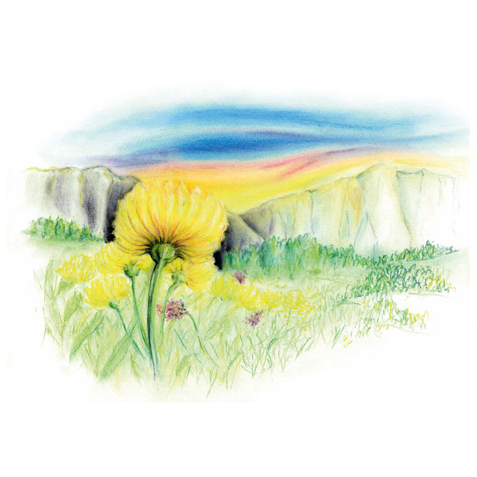 Pastela suha 12boja design journey staedtler 2430 c12 blister
