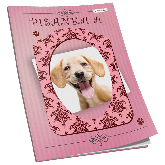 OBRAZAC ŠKOLSKI PISANKA "A" ZA 1RAZRED SOFT PLUS  CONNECT GIRL