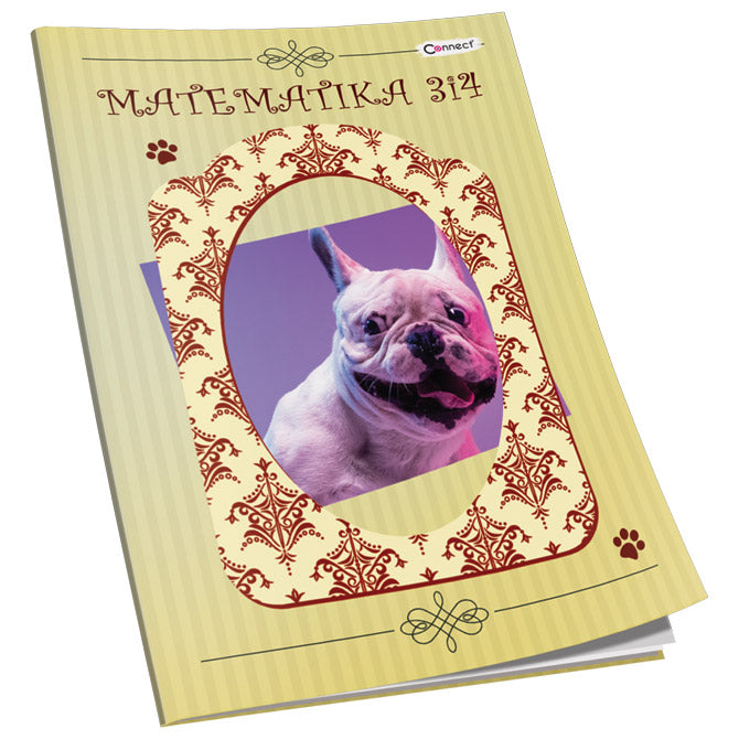 OBRAZAC ŠKOLSKI MATEMATIKA ZA 3 I 4RAZRED SOFT PLUS  CONNECT GIRL
