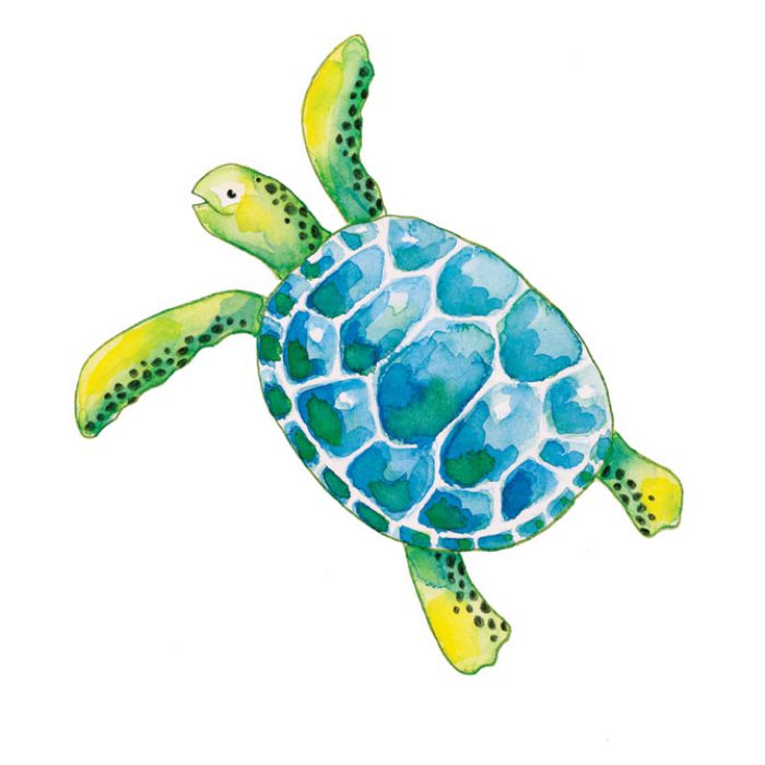 BOJE DRVENE-VODENE  48BOJA PLUS KIST PLUS ŠILJILO AQUARELL FABER CASTELL 114448 BLISTER