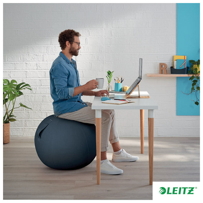 LOPTA ZA SJEDENJE ERGO COSY LEITZ 52790089 SIVA