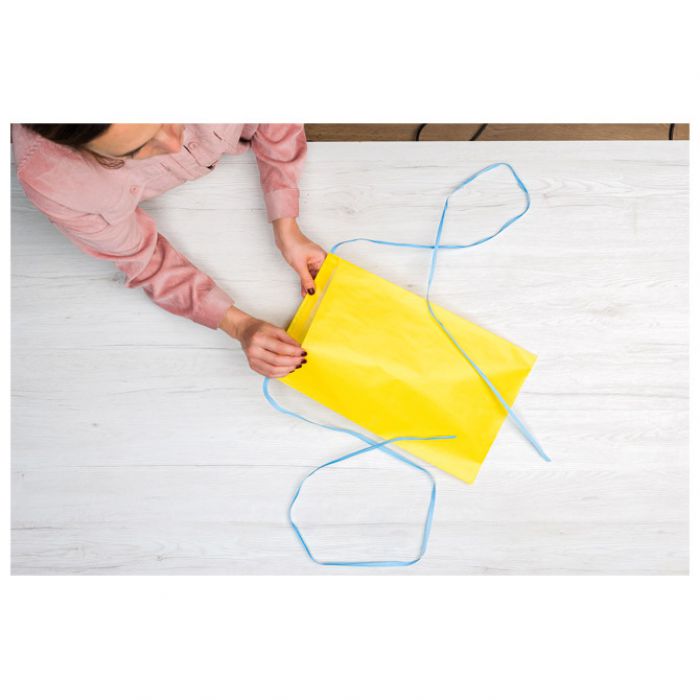 VREĆICE-KUVERTE UKRASNE S VRPCOM 36X50 CM REX PACK PK10 REX-SAUL SADOCH REXPK36F-219B