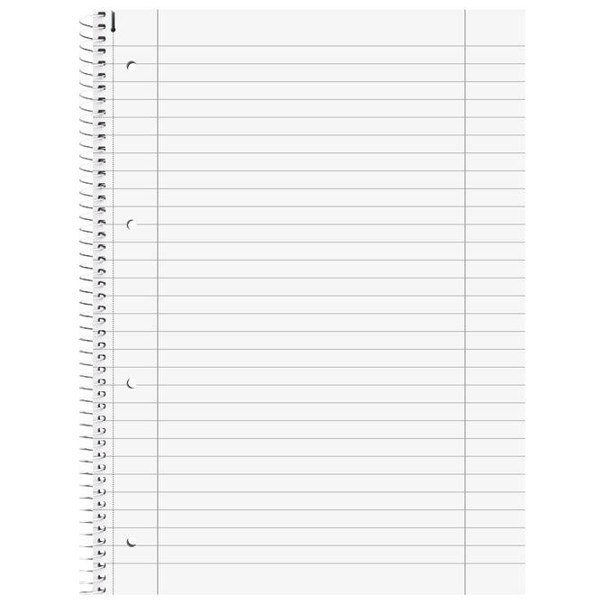 BLOK KOLEGIJ A4 CRTE  80L PERFORACIJA PLUS 4RUPE BLOOM BRUNNEN 10-67927 23