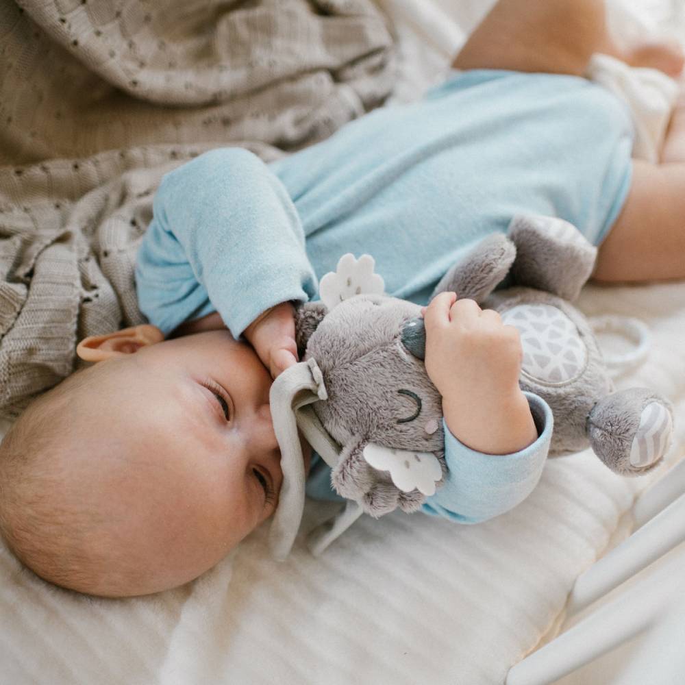BabyOno Glazbena igračka koala Coco
