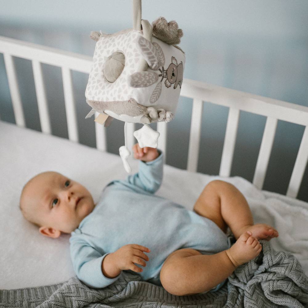 BabyOno Senzorna kocka koala Coco