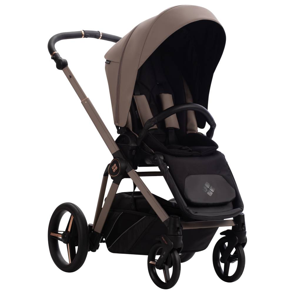 Dječja kolica Bebetto Monti Pro 05/Cashmere 2u1