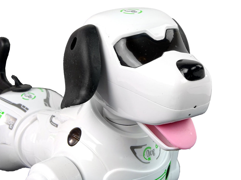 Interactive Remote Controlled Robot Doggy