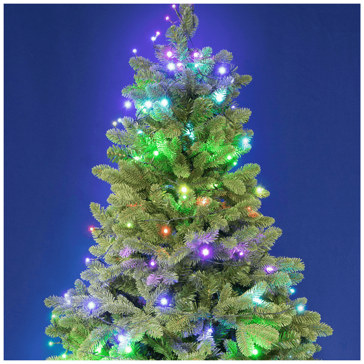 home Dekorativna LED rasvjeta, iSparkle RGB LED svjetlosni niz - LEDS096V