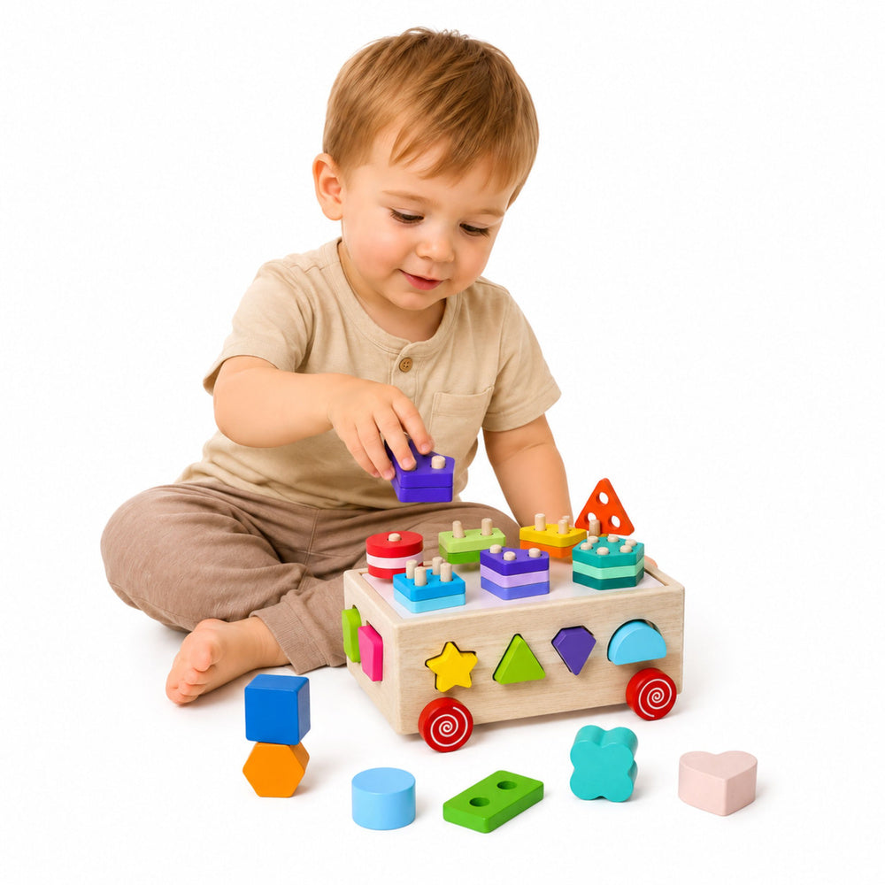 Wooden Montessori Educational Sorter on Wheels Shapes and Numbers