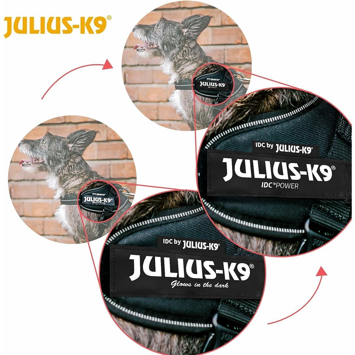 Orma za pse Julius K9 IDC Crna