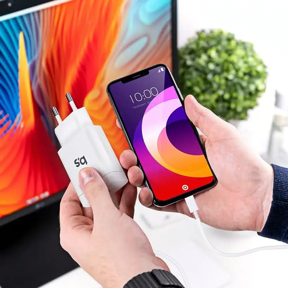 Zidni punjač za iPhone 18W s PD punjenjem s odvojivim kabelom Blue Star