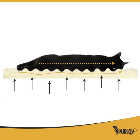 6848f24326e70829cfc6ee88_eng-pm-ergonomic-pet-bed-m-purlov-26915-18702-10_1782735959669.jpg
