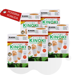 6848f24326e70829cfc6ee88_flasteri-kinoki_1759405433159.png