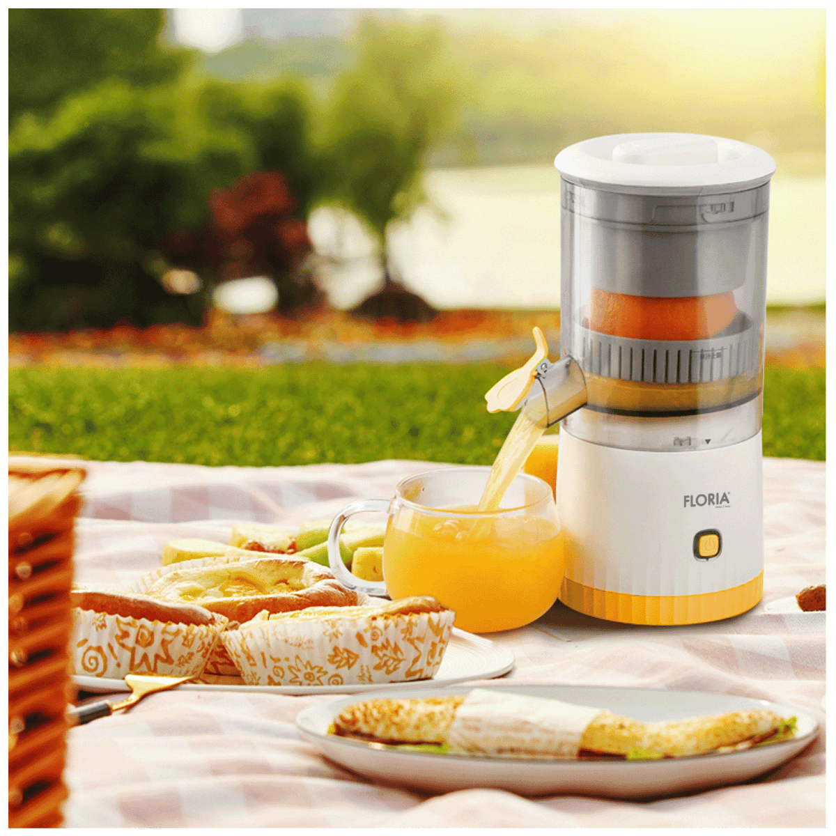 Floria Sokovnik, bežični, 600 ml., 800 mAh - ZLN4079
