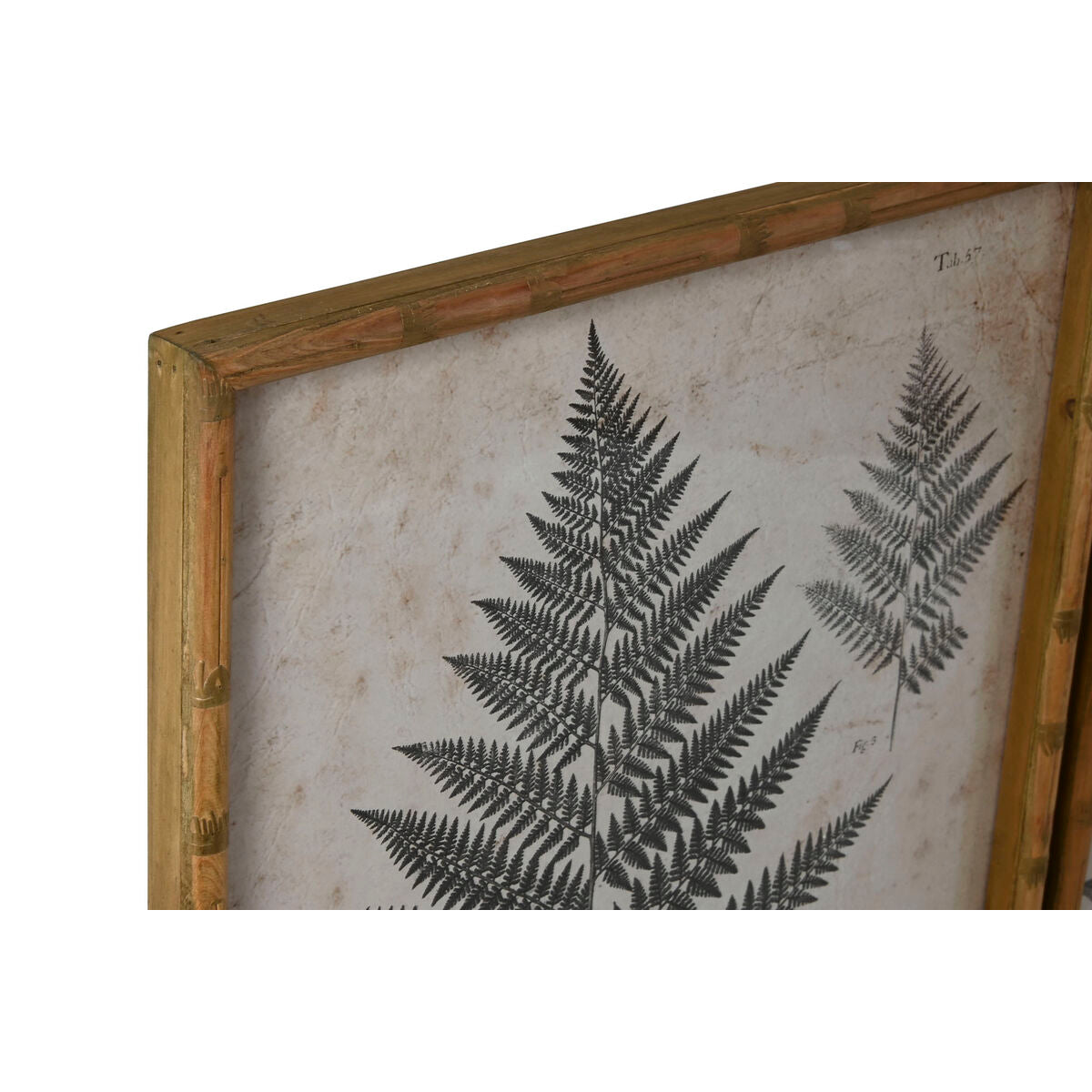 Slika Home ESPRIT Kristal Jela 50 x 3 x 70 cm 50 x 2,5 x 70 cm