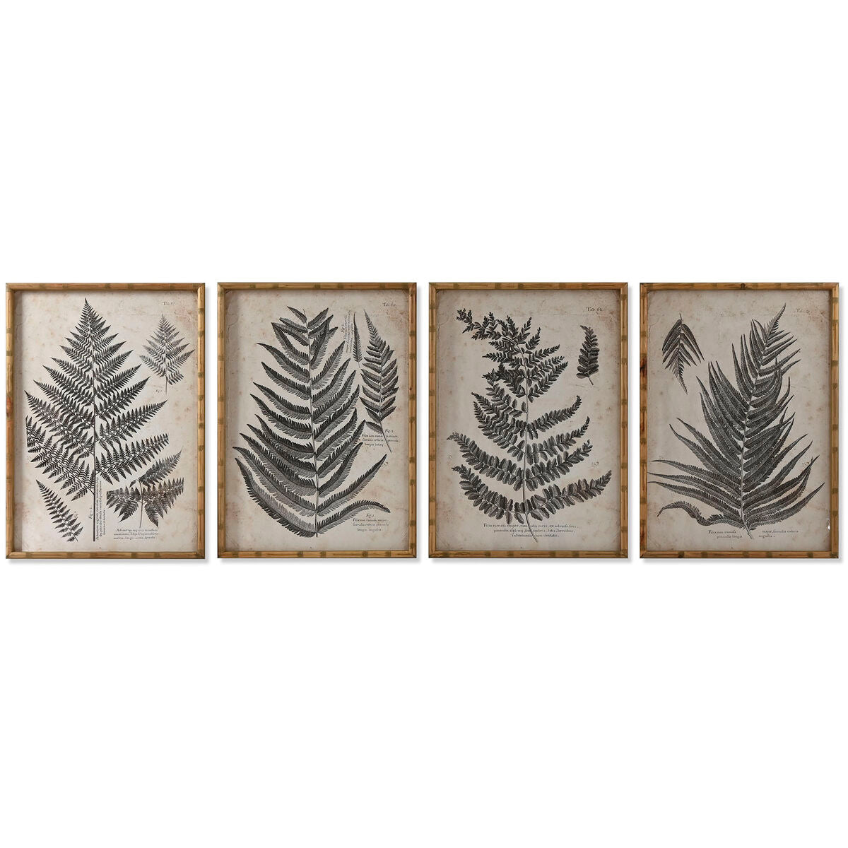 Slika Home ESPRIT Kristal Jela 50 x 3 x 70 cm 50 x 2,5 x 70 cm