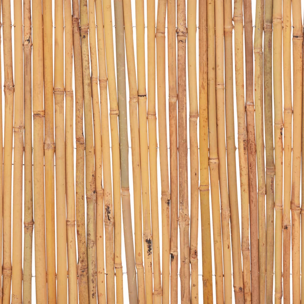 Ograda od bambusa 500 x 50 cm
