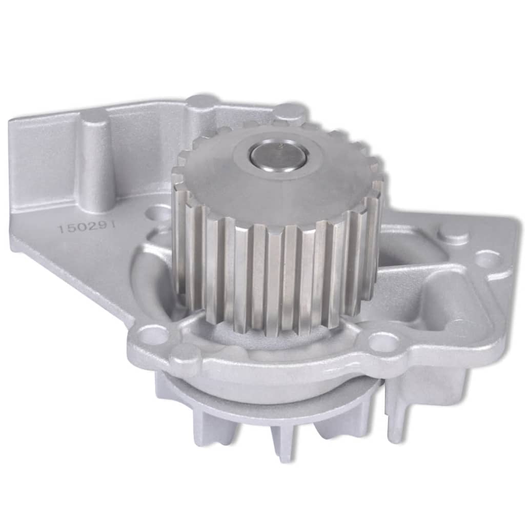 Crpka za vodu za motor za Peugeot, Fiat itd.