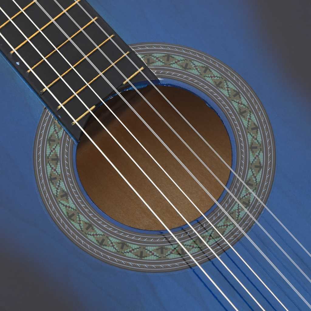 12-dijelni set klasične gitare za početnike plavi 4/4 39"