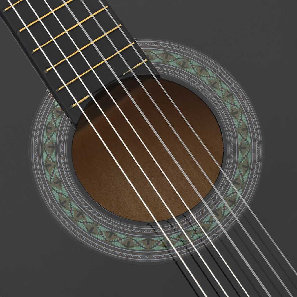 12-dijelni set klasične gitare za početnike crni 4/4 39"