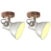 Industrijske zidne/stropne svjetiljke 2kom srebrne 20x25 cm E27