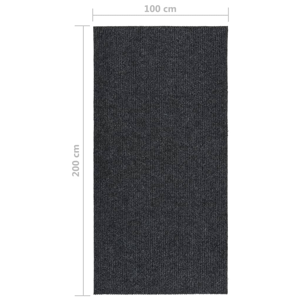Dugi tepih za hvatanje nečistoće 100 x 200 cm antracit