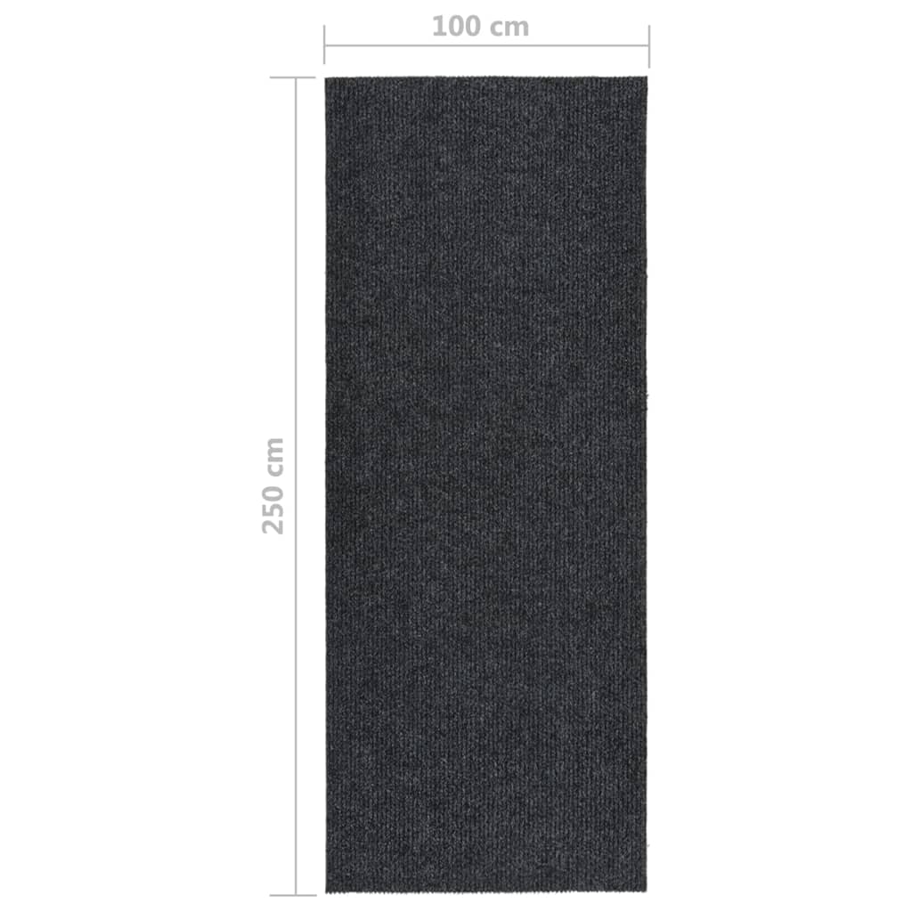 Dugi tepih za hvatanje nečistoće 100 x 250 cm antracit