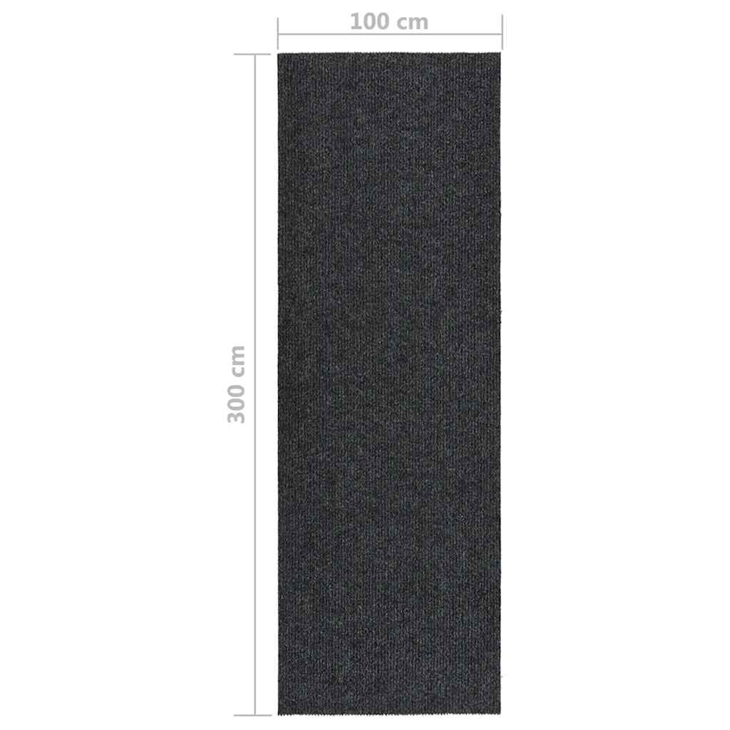 Dugi tepih za hvatanje nečistoće 100 x 300 cm antracit