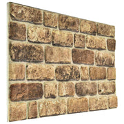 Zidne panele 10 pcs Tamni pijesak 100 x 50 cm EPS pjena