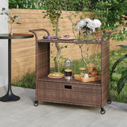 Barska kolica s ladicom smeđa 100 x 45 x 97 cm od poliratana
