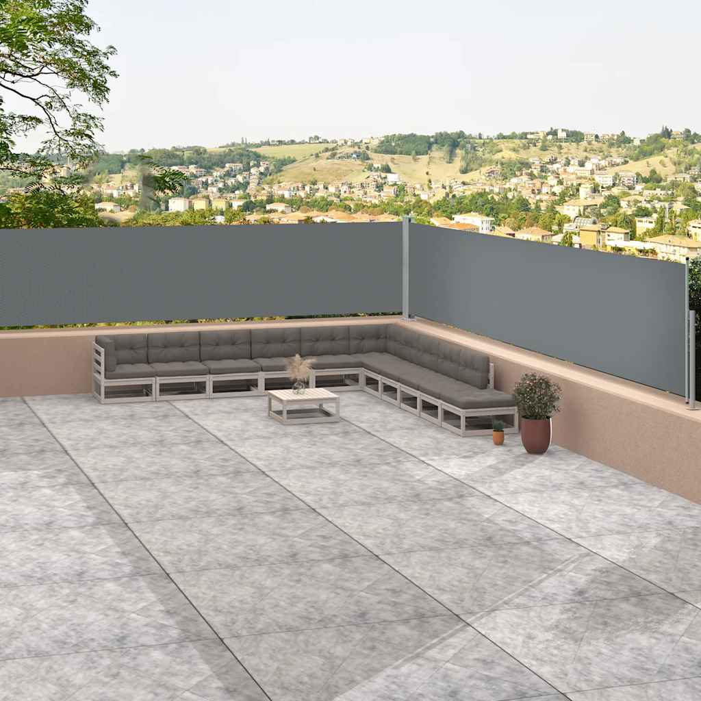 Uvlačiva bočna tenda antracit 117 x 1200 cm