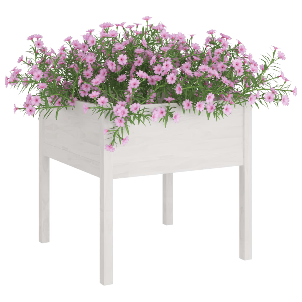 Vrtna sadilica bijela 70 x 70 x 70 cm od masivne borovine
