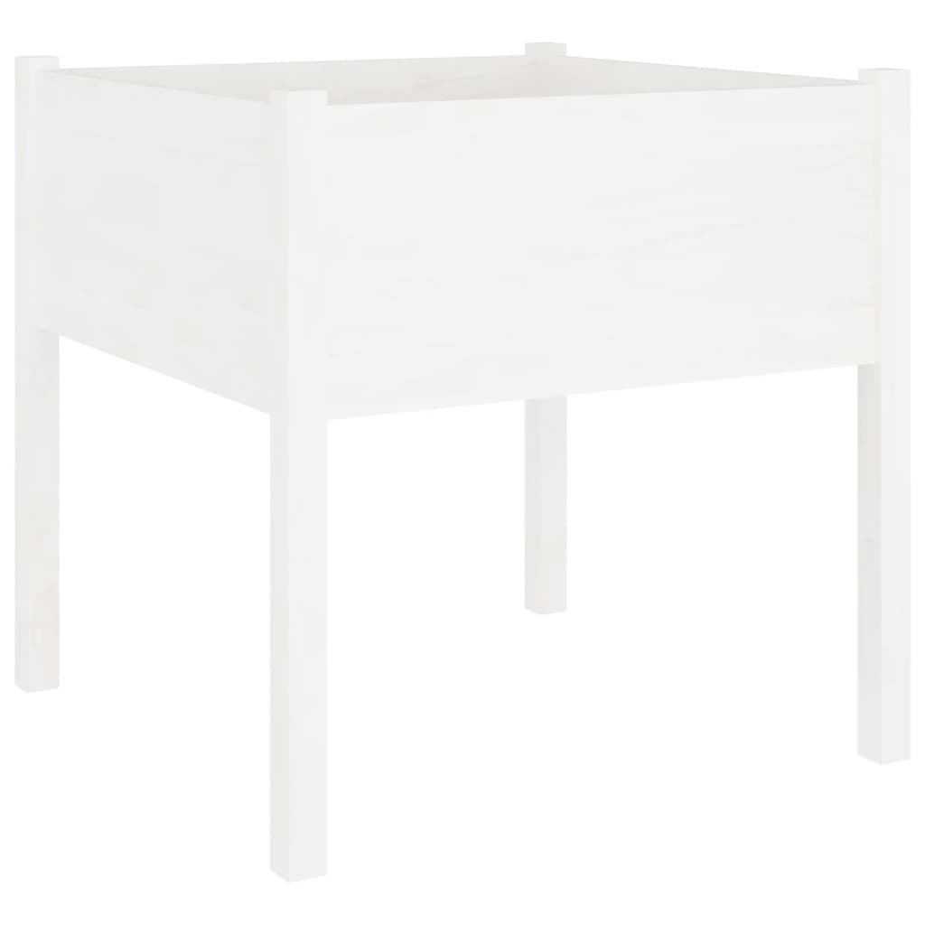 Vrtne sadilice 2 kom bijele 70 x 70 x 70 cm od masivne borovine