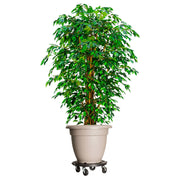 Kolica za biljke s kotačima promjer 40 cm crna 275 kg