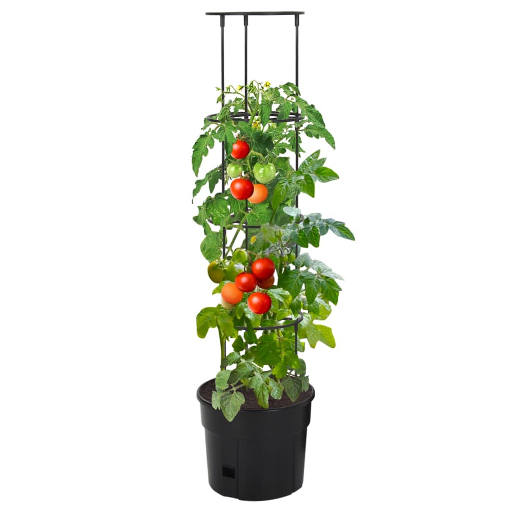 Sadilica za rajčice antracit Ø 29,5 x 115 cm od polipropilena
