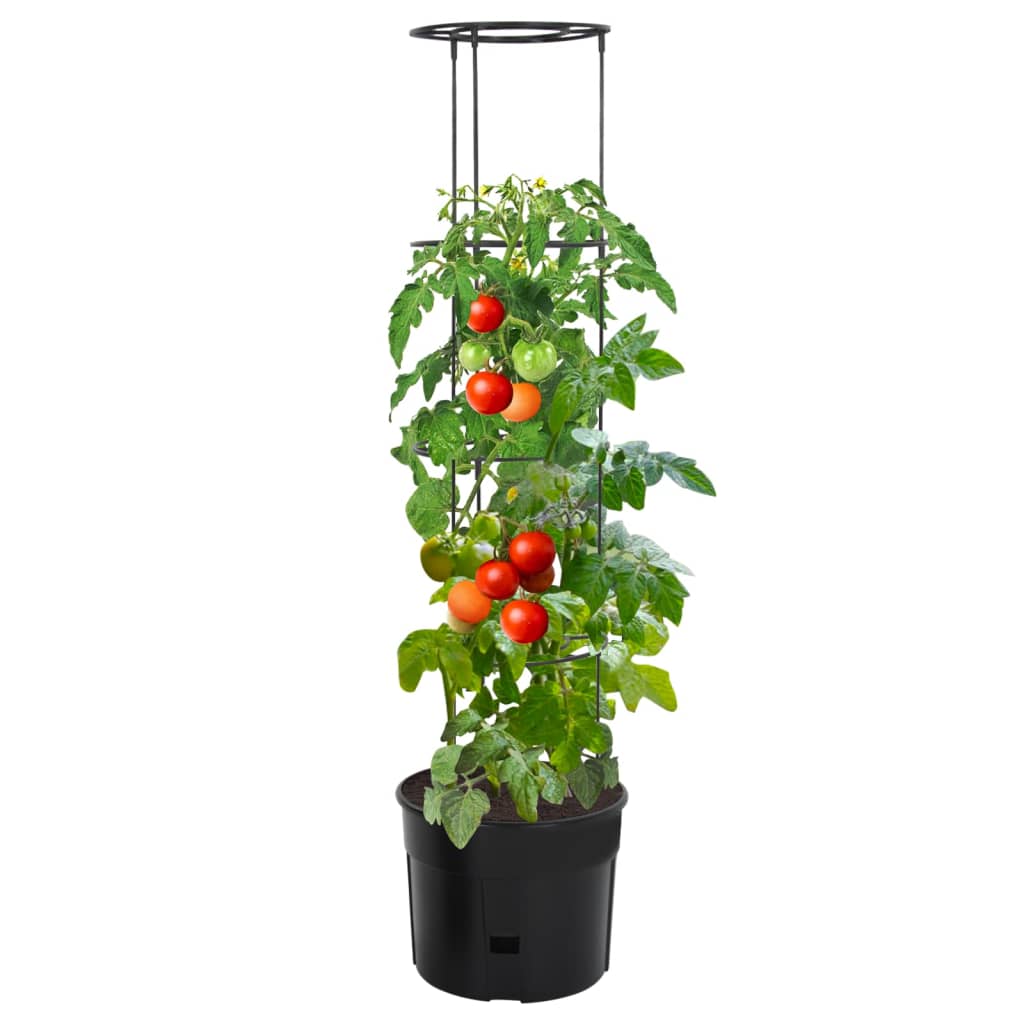 Sadilica za rajčice antracit Ø 39 x 150 cm od polipropilena
