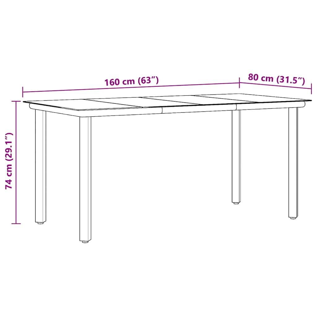 Vrtni blagovaonski stol crni 160x80x74 cm od čelika i stakla
