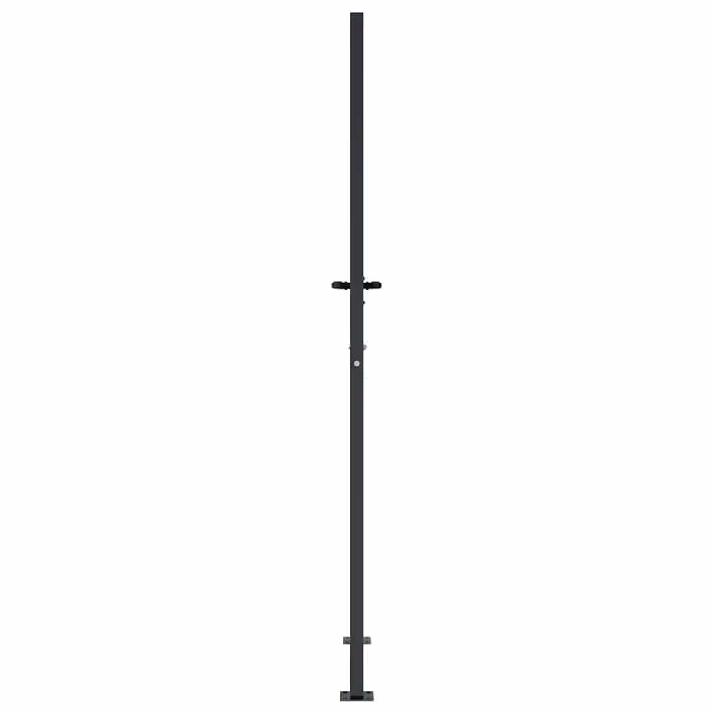 Vrtna vrata antracit 100x200 cm čelična dizajn stabla
