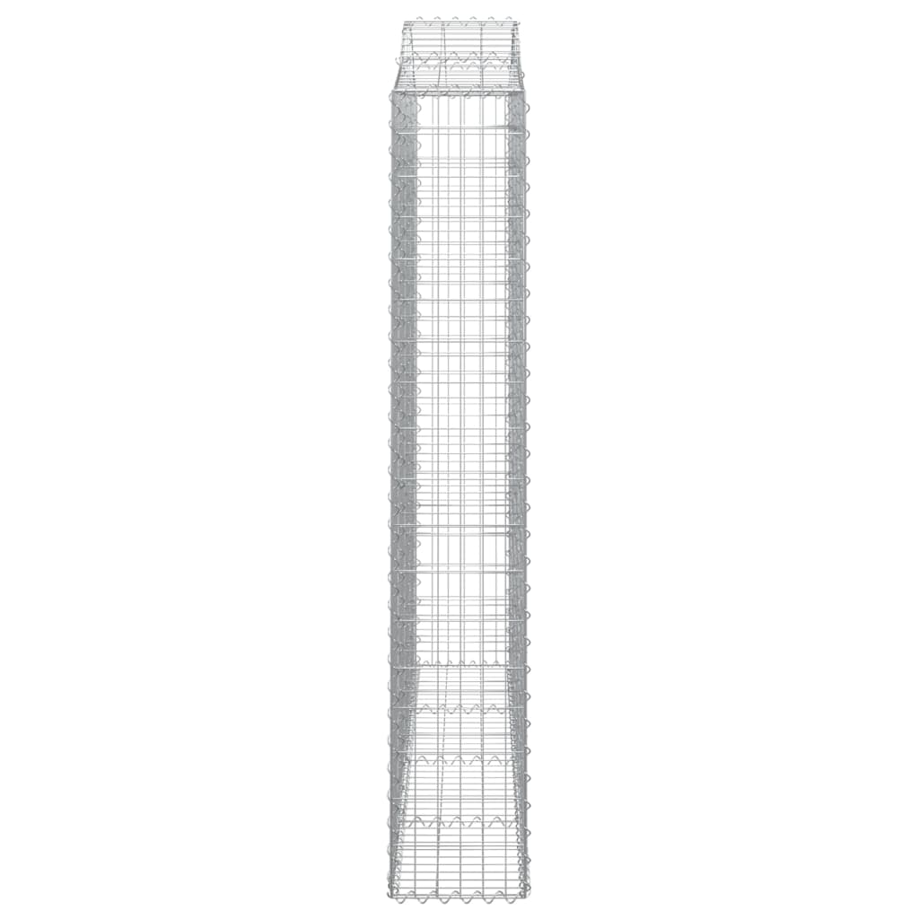 Lučne gabionske košare 2 kom 200x30x180/200cm pocinčano željezo