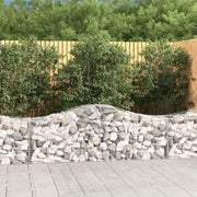 Lučne gabionske košare 25 kom 200x50x60/80 cm pocinčano željezo