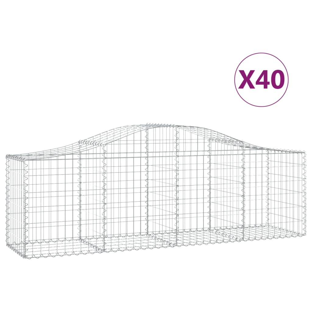 Lučne gabionske košare 40 kom 200x50x60/80 cm pocinčano željezo