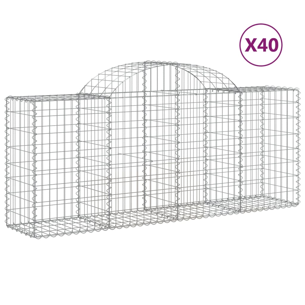 Lučne gabionske košare 40 kom 200x50x80/100cm pocinčano željezo