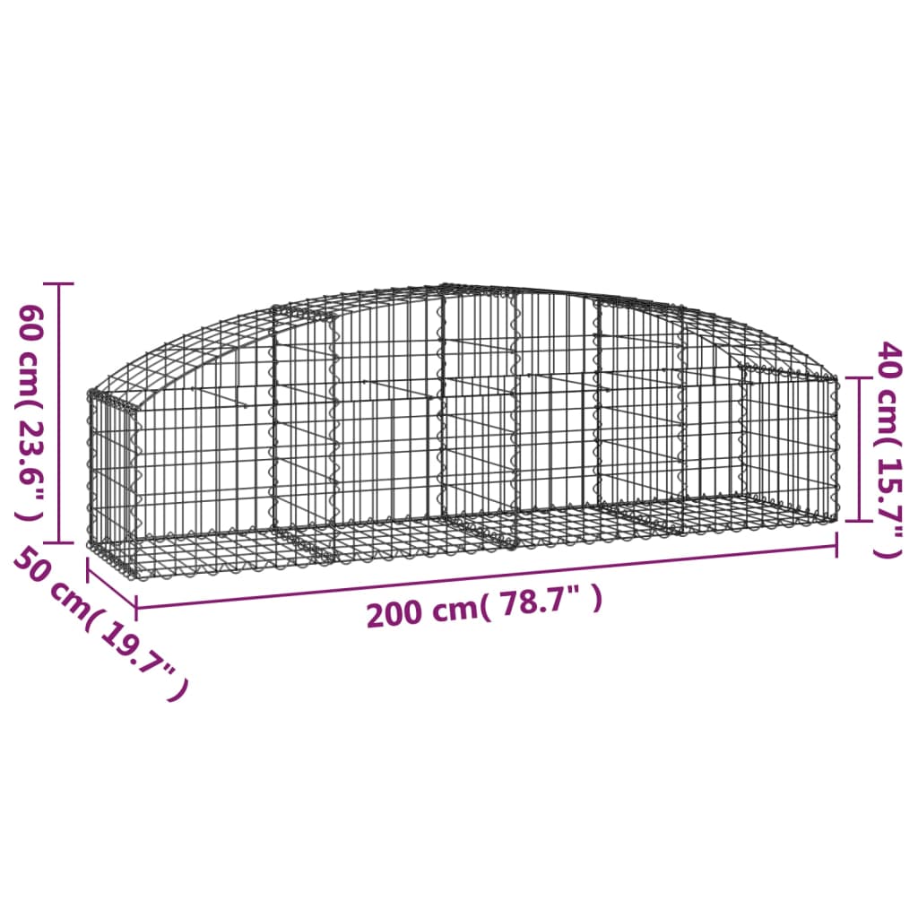 Gabionska košara s lukom 200x50x40/60 cm pocinčano željezo