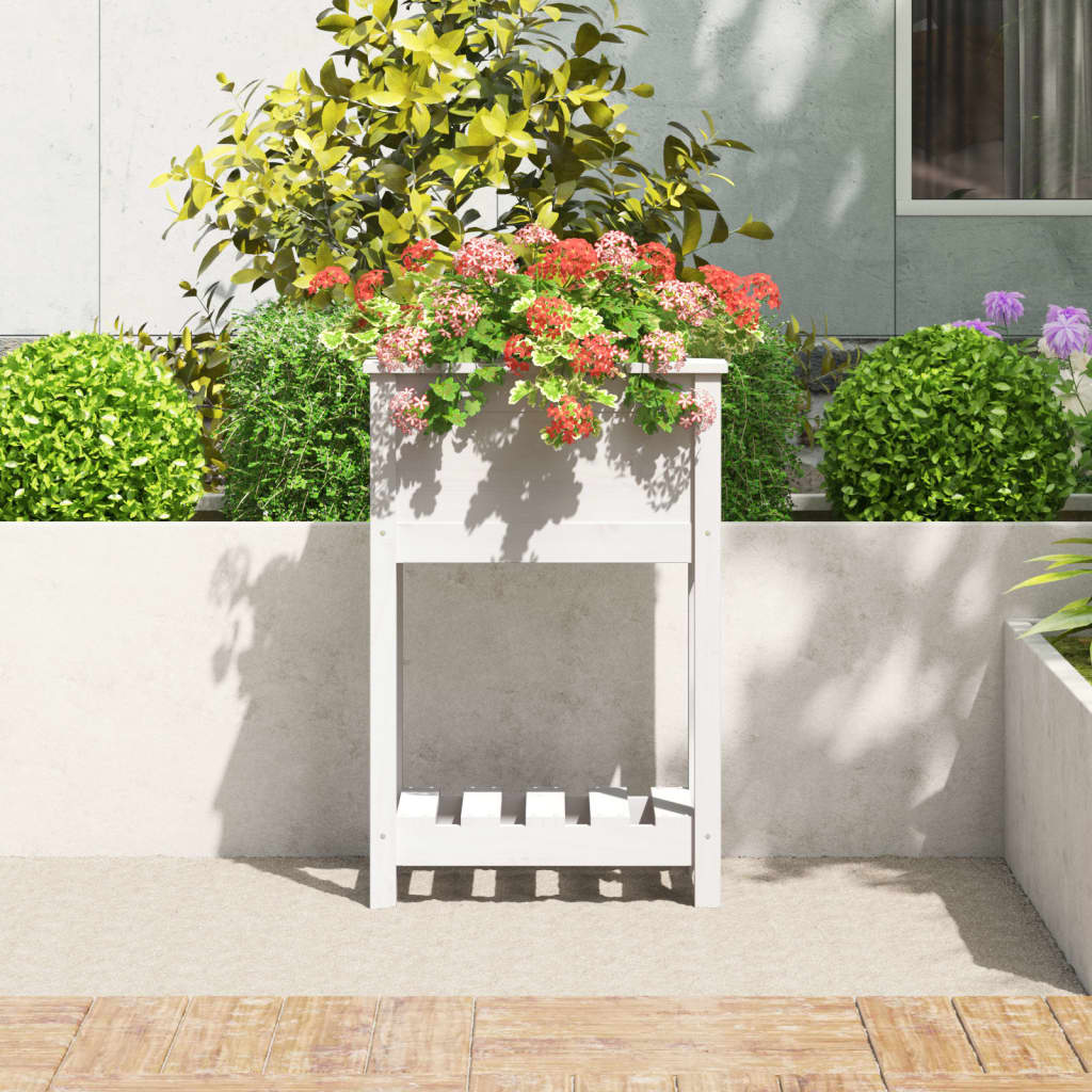 Sadilica s policom bijela 54 x 34,5 x 81 cm od masivne borovine