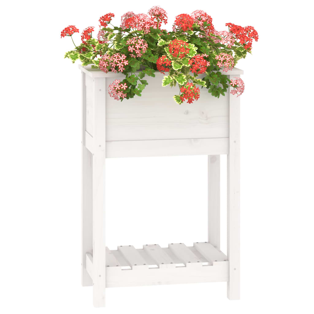 Sadilica s policom bijela 54 x 34,5 x 81 cm od masivne borovine