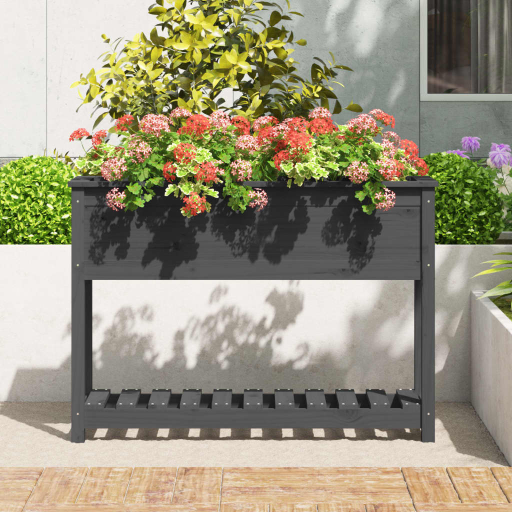 Sadilica s policom siva 111,5x34,5x81 cm od masivne borovine