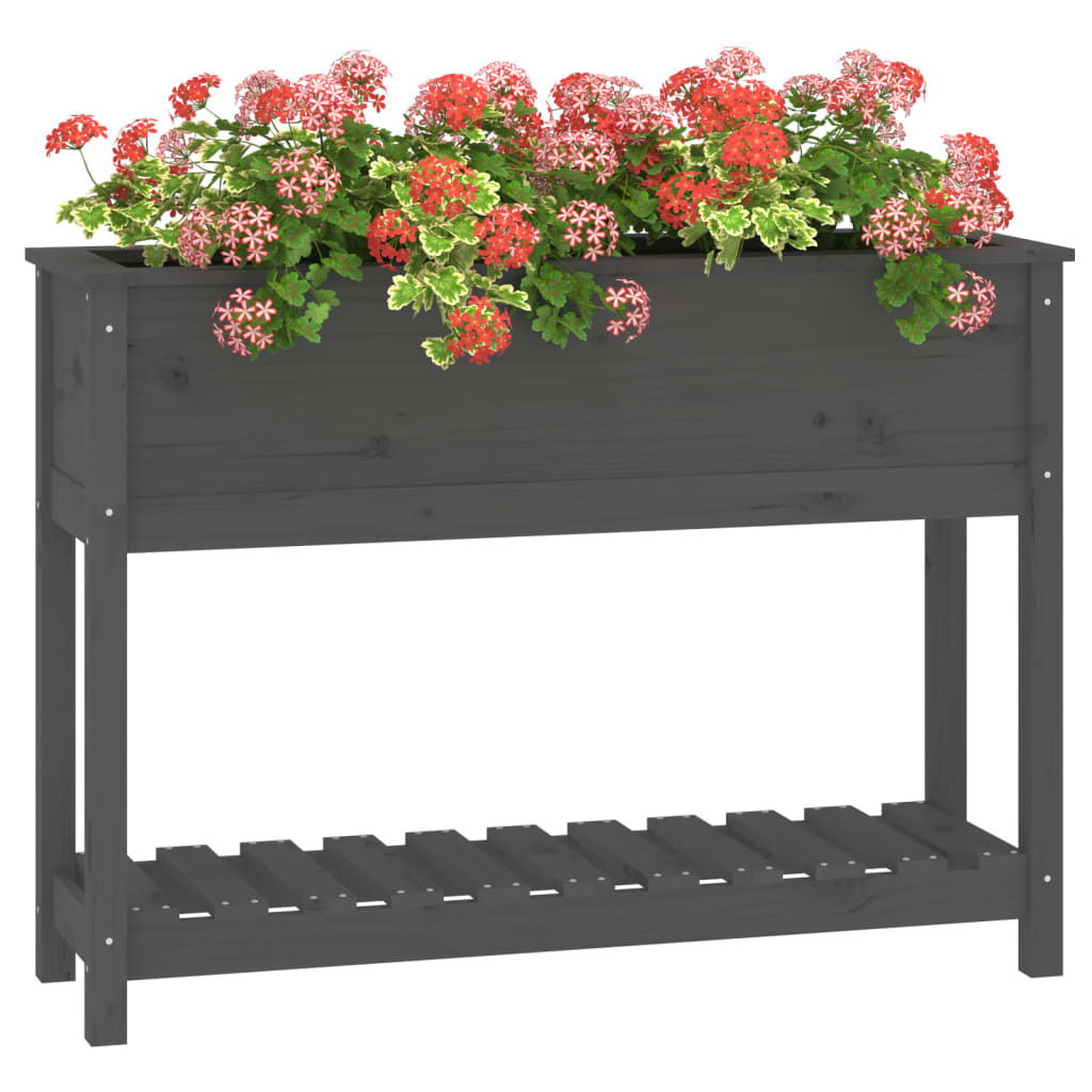 Sadilica s policom siva 111,5x34,5x81 cm od masivne borovine